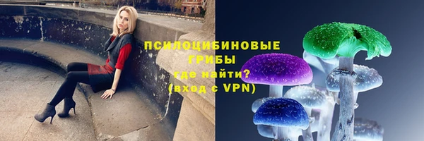 спайс Арсеньев