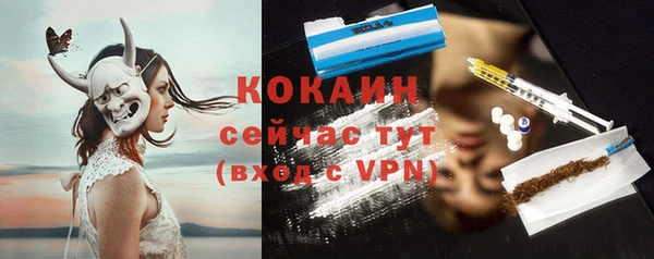 ешки Аркадак