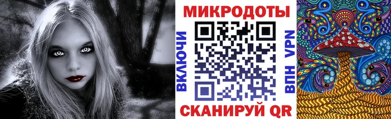 Псилоцибиновые грибы MAGIC MUSHROOMS  omg ССЫЛКА  Гвардейск 